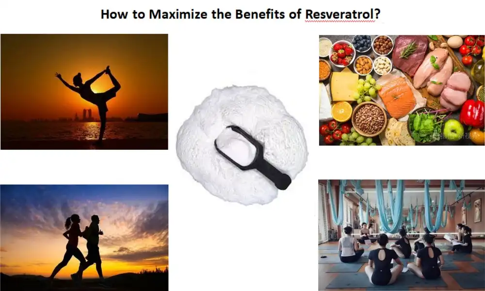 How to Maximize the Benefits of Resveratrol?